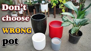 Pick the perfect pot | How to choose the right pot for plants?