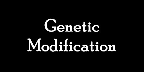 Genetic Modification