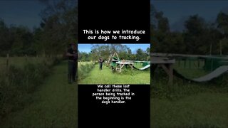 Introduction to Tracking a Dog