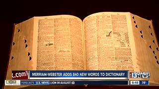 More than 800 words added to dictionary
