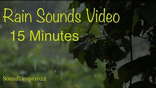 Sit Back And Relax With 15 Minutes Of Rain Sounds Video