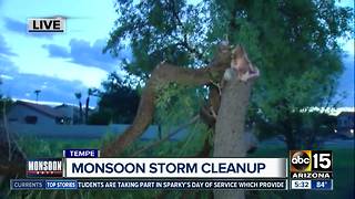 Monsoon storm damage clean-up continues