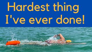 Hardest thing I've ever done! Longboat Key Marathon Swim, 11.65 miles