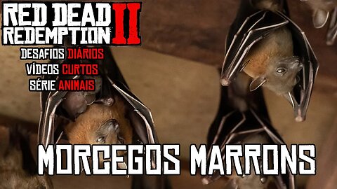 Morcego Marrom Pequeno Red Dead Redemption 2