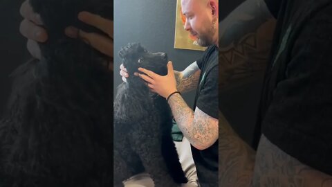 After adjustments, Dog ask to chiropractor “ AM I ALIVE”?