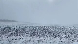 Great Lakes Blizzard of 2022: Blowing snow in Kalamazoo County, Michigan