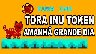 TORA INU TOKEN É AMANHÃ O GRANDE DIA