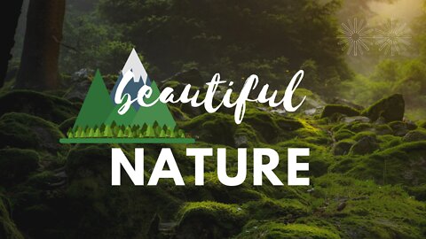 Beautiful Nature Footage | Nature Lover