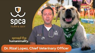 Pet Patrol SPCA Tampa Bay | Morning Blend