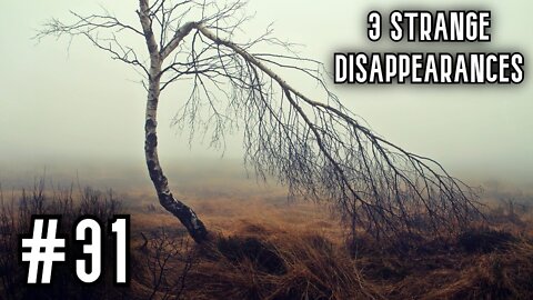 3 Very Strange Disappearances In National Parks | Part 31