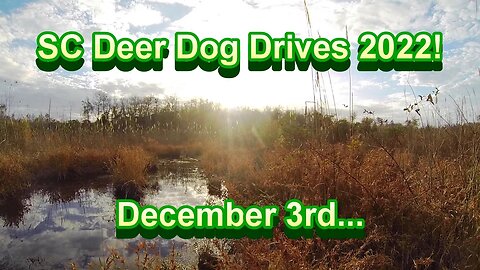 SC Deer Dog Drives 2022! 12-03... Great Hunt!