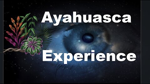 Ayahuasca Experience Trip