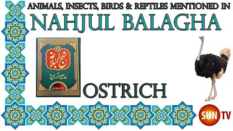 Ostrich - Animals, Insects, Reptiles Amphibians in Nahjul Balagha (Peak of Eloquence)#nahjulbalagha
