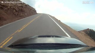 Perde il controllo dell'auto sul versante di una montagna