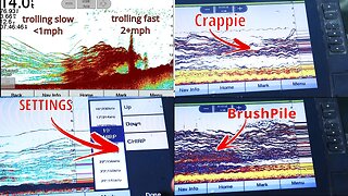 How to Use 2D Sonar - Fish Finder explained for BEGINNERS