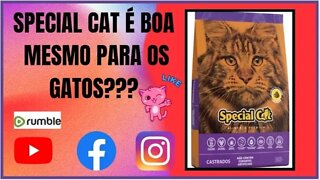 Special Cat testando na pratica porem um ponto negativo baixa proteína!