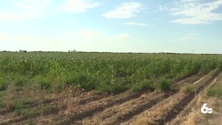 Organization sees donations come in to support local farmworkers as heatwave continues