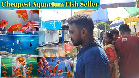 aquarium fish market India