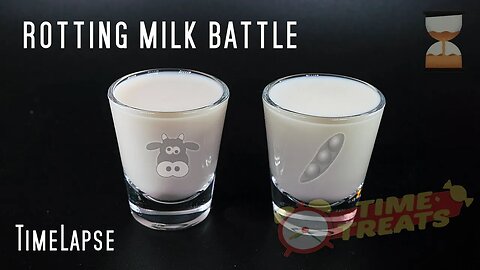Rotting Battle: Cow's Milk vs. Soy Milk - Mold Decomposting Timelapse