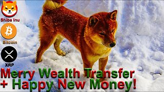 Merry Wealth Transfer! Happy New Money! - Crypto Christmas - SHIB XRP BTC Crypto #xrp #btc #shib