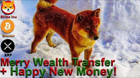 Merry Wealth Transfer! Happy New Money! - Crypto Christmas - SHIB XRP BTC Crypto #xrp #btc #shib
