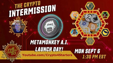 #METAMONKEY AI LAUNCH DAY! LETS TALK CRYPTO AND WATCH THE LAUNCH!