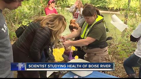 Watershed watch on the Boise River