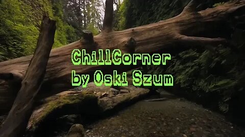 Forest Sounds for Relax & Chill 2 Hours | Chill & Relax Corner