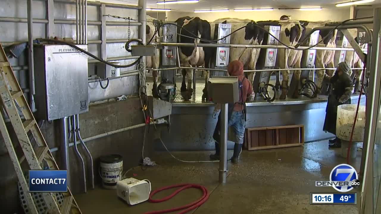 'Everyone in Colorado should be concerned about that water': Meat packing plant broke law for 5 yrs.