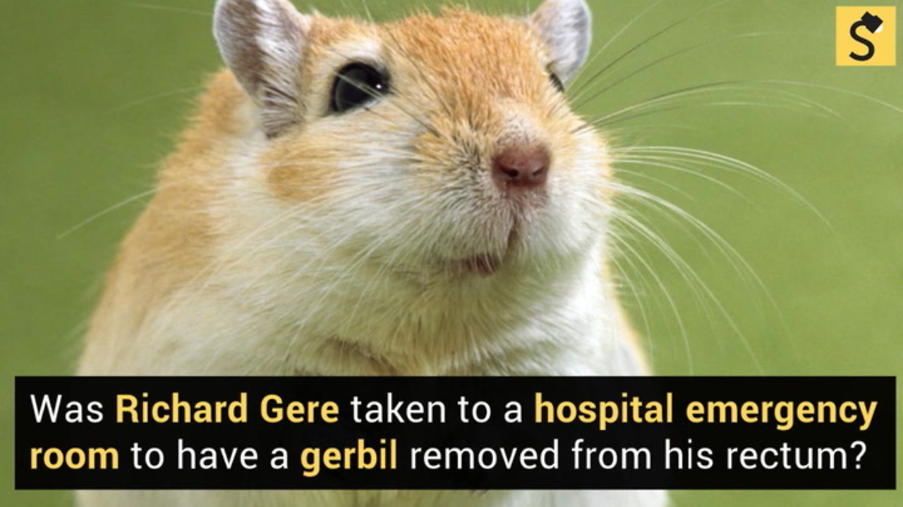 Richard Gere and the Gerbil | Snopes.com