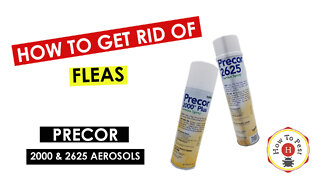 How To Get Rid of Fleas - Precor 2000 and Precor 2625 Aerosol