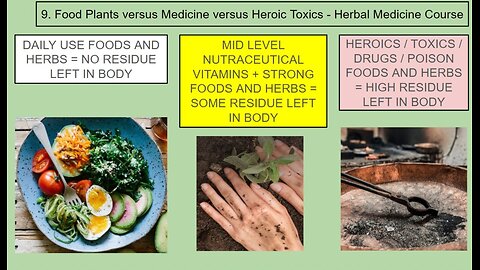 Personal Alkemy - Materia Medica BONUS MATERIAL Side Effects and Toxicity and More