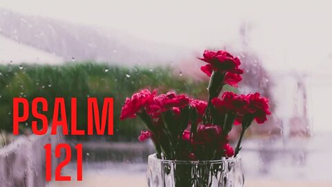 Psalm 121with Relaxing Rain Sound | Female Narrator