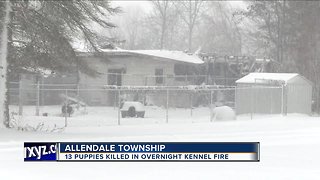 Authorities: 13 dogs die in fire at Michigan kennel, more than 2 dozen rescued