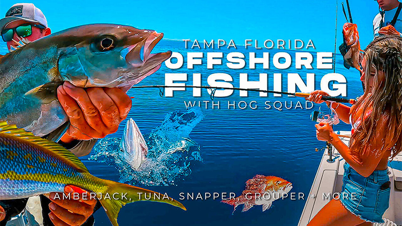 Tampa Florida Offshore Fishing (MultiSpecies) Catch with Hog Squad Fishing