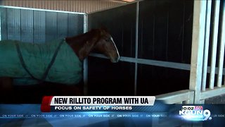Rillito Race Track partners with UA for new student program