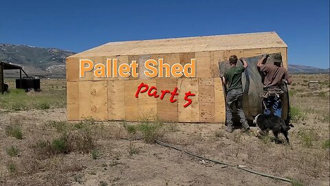 Pallet Shed Construction 5