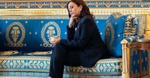 Missing in action: Kamala has skipped 206 daily briefings since Biden became president
