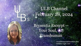 Brysentia Excerpt -- Your Soul, AI, Transhumanism 02-28-24