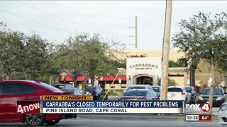 Carrabba's restaurant temporarily closed down in Cape Coral