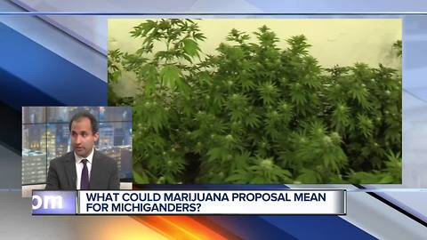 Legalizing Recreational Marijuana in Michigan: What's Included in Proposal?