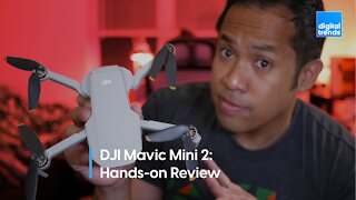 DJI Mini 2 Review | The 5 Best New Features