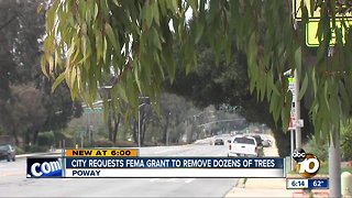 Poway requests FEMA grant to remove dozens of trees