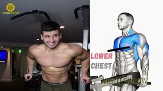 TOP 5 INNER ,LOWER AND UPPER CHEST WORKOUT AT GYM