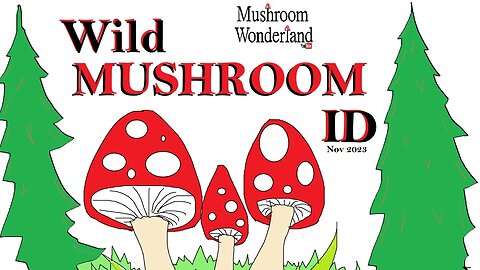 Wild Mushroom Nature Walk- November 2023