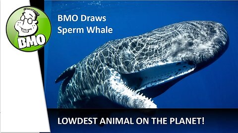 BMO Creative Fact About Fiction - Sperm Whales Are Dangerous!