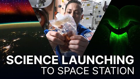 Science Launching on Northrop Grumman CRS-19 Mission to the Space Station