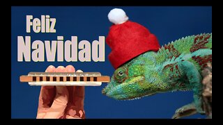 How to Play Feliz Navidad on the Harmonica with Bends