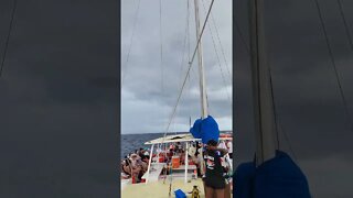 Catamaran in Roatan Honduras!