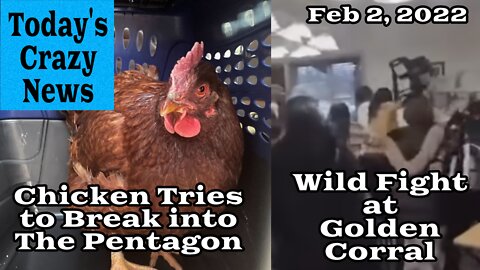 Today's Crazy News - Wild Fight at Golden Corral, Chicken Tries to Break Into the Pentagon